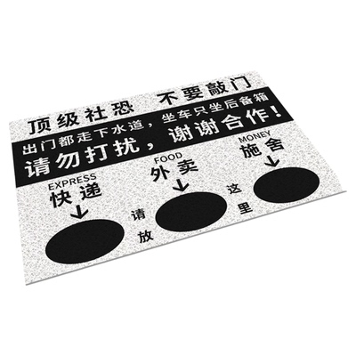 地垫入户门垫氛围感丝圈防滑耐脏