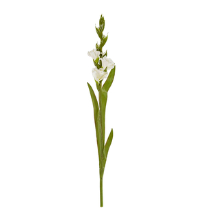 HarborHouse美式家居花艺摆设仿真花新品短支白色剑兰Gladiolus
