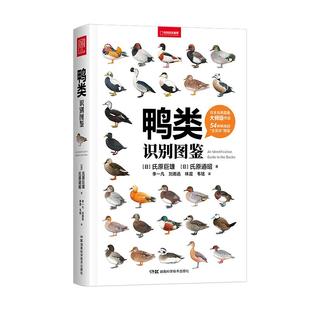 鸭类识别图鉴 中国国家地理鸟类图鉴科普图鉴书籍中国国家地理 鸭类图鉴鸭宝书