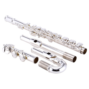金音JYFL-E120S C调长笛初学者II型镀银长笛配儿童型弯嘴