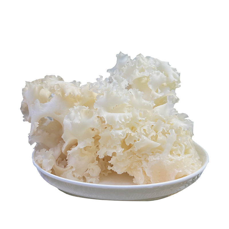 云南新鲜绣球菌火锅菜锅