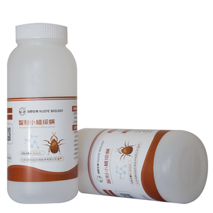 捕食螨 智利小植绥螨 生物防治果蔬园艺除叶螨红蜘蛛克星天敌防控