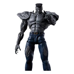 有货 万代 SHF 幽游白书 户愚吕弟 100% 可动 手办 模型