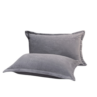 牛奶绒枕头枕芯男家用套装带枕套护颈椎助睡眠一对学生宿舍单人整