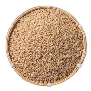 新货燕麦米云南农家自种燕麦仁荞麦米全胚芽燕麦五谷杂粮粗粮批发