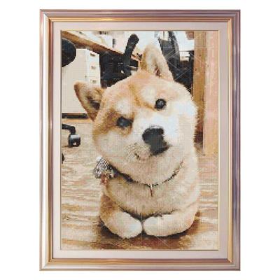 钻石画定制方钻照片十字绣