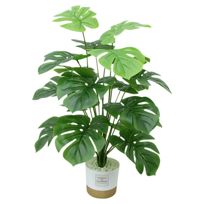 无需养护不会枯萎仿真植物