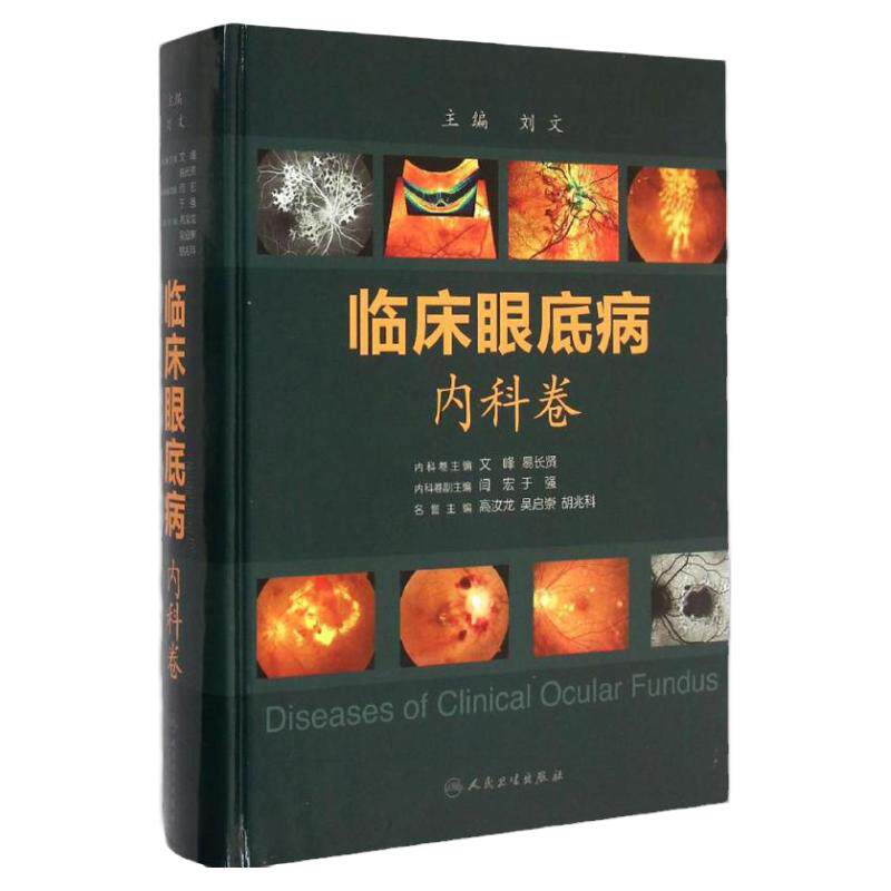临床眼底病内科卷眼科学书籍
