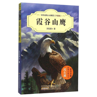 霞谷山鹰 第二辑 沈石溪动物小说全集正版中外精品小学生三年级四年级课外书10-12-15周岁小学生课外阅读书籍动物世界