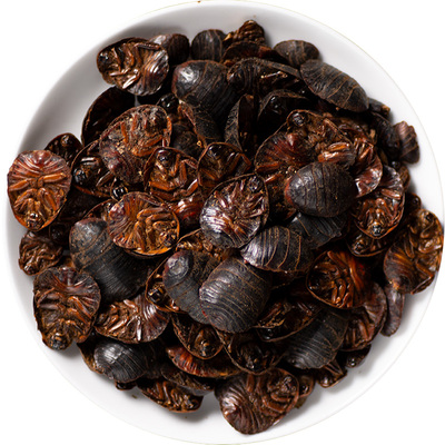 寻百草中药材土元地鳖虫正品