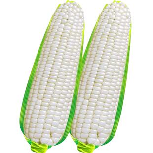 白糯白玉米种子甜糯玉米种籽四季特大高产大全耐旱玉米种孑粘甜孑