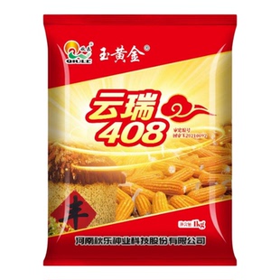 正品杂交玉米种子云瑞408耐旱耐瘠薄抗病又抗倒西南绿色玉米品种