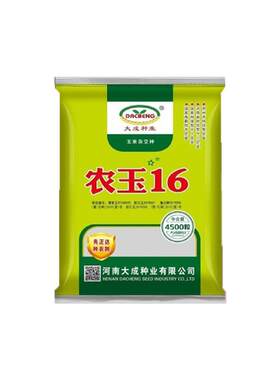 玉米种子高产大棒子玉米种子