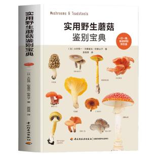 实用野生蘑菇鉴别宝典大作晃一吹春俊光野生蘑菇使用图鉴蘑菇种类大全食用蘑菇菌菇松茸菌类野生菌类识别方法常见毒蘑菇辨别方法书