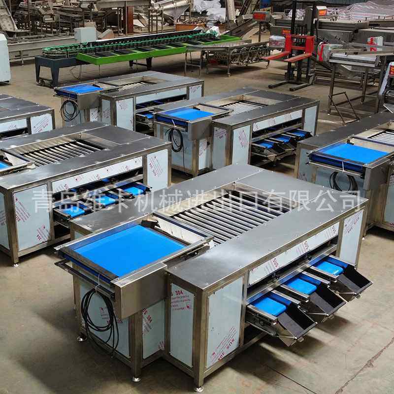 山楂大枣选果机 大蒜洋葱直径分级机 螺旋滚杠 产能大 杏子分选机