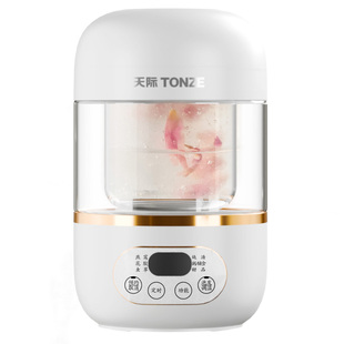 可视燕窝隔水炖盅专用养生壶家用全自动天际桃胶办公室煮专业炖锅