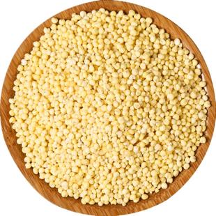 2025新东北大黄米粘黏糯长粒圆粒江米黑紫米糯红高粱米包粽子糍粑