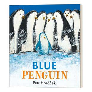 蓝色企鹅 英文原版 Blue Penguin 3-7岁儿童精装绘本 捷克绘本大师Petr Horacek 英文版 进口英语原版书籍