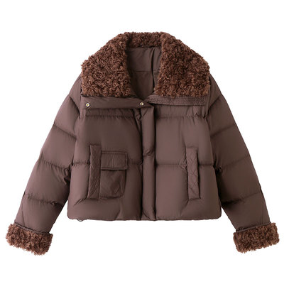 冬季女大翻领短款高级感羽绒服