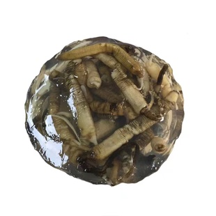 【三都土笋冻】旗舰店圆粒每份25粒约500g装百年传承厦门海沧特产