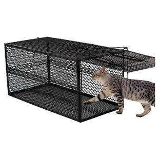 捕猫神器全自动捕猫笼人道救助捕抓捉猫咪新款专用大号逮捕流浪猫