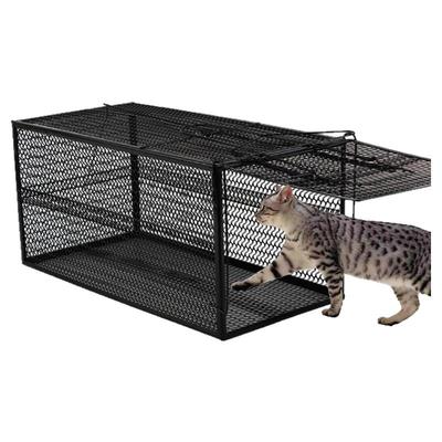 全自动捕猫笼人道求助