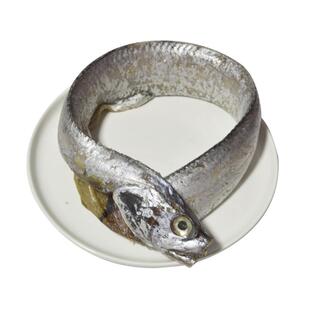 舟山风带鱼特产海鲜淡晒整条本地小眼睛雷达网刀鱼腌制咸带鱼干