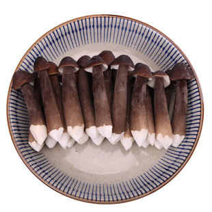 黑皮鸡枞菌黑帽鸡棕菌长根菇云南特产时令新鲜菌菇产地直发