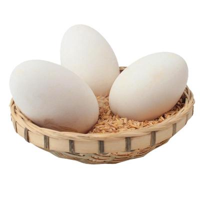 鹅蛋12枚散养新鲜农家正宗