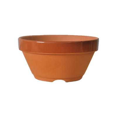 陶土常滑烧盆景观赏专业盆日本盆