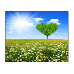 免钉电表箱装饰画免打孔定制遮挡电源盒盖反光画大海风景铝合金画