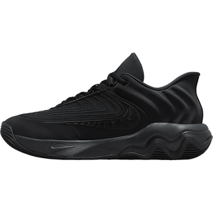 Nike/耐克正品GIANNIS 4男士字母训练缓震篮球鞋FQ3681-003