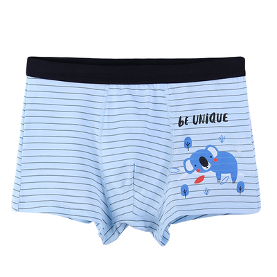 小荳伊男童内裤平角纯棉透气