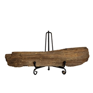 天然新生代古生物阴沉木树化玉硅化木化石原石头标本摆件奇石观赏