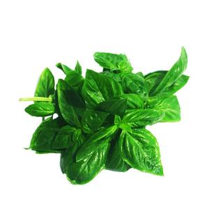 新鲜罗勒叶100g 西餐食用披萨草意大利面调料香料青酱蔬菜