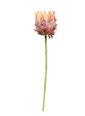 北欧装饰假花帝王花蓟花