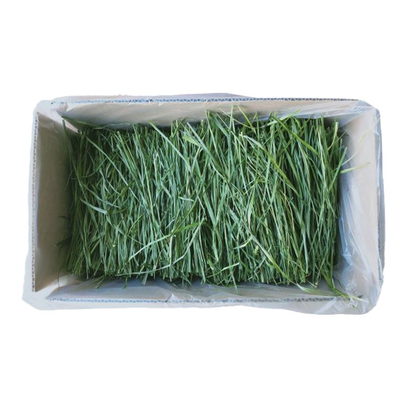 繁星牧草2026烘干箱装提摩西草段兔粮龙猫粮食荷兰猪饲料岷县北提
