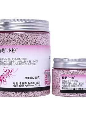 纹枯病多肉花卉仙葩噻呋酰胺4%