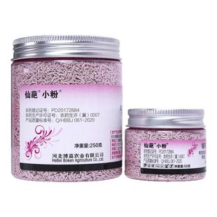 仙葩多肉小粉药4%噻呋酰胺植物防菌药小粉瓶盆栽纹枯病土壤杀菌剂