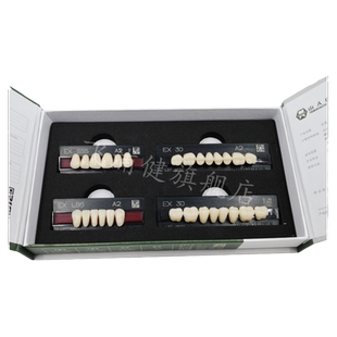 牙科山八EX塑钢牙 合成树脂牙 皇冠超硬塑钢牙 全口半解剖塑钢牙