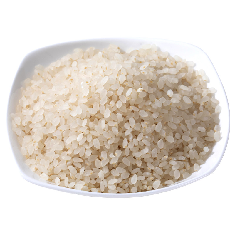 有机胚芽米大米2025年新米煮粥吃的专用送一岁宝宝婴幼儿辅食食谱