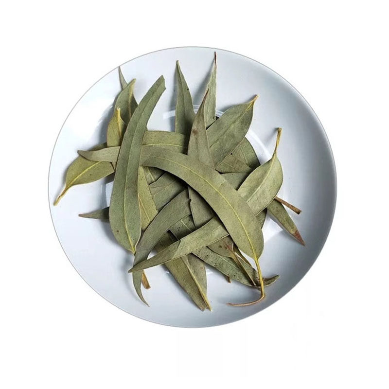 蜜袋鼯垫材 零食粮食 烘干桉树叶尤加利叶500克 蜜袋鼯除臭桉树叶