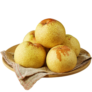 正宗砀山梨子当季水果新鲜10青梨皇酥梨斤整箱包邮应翠冠香梨雪梨