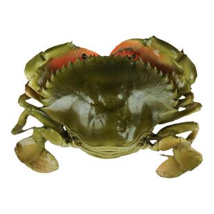 仿真青蟹膏蟹螃蟹模型假大闸蟹海鲜水产直播道具摆件摄影装饰品