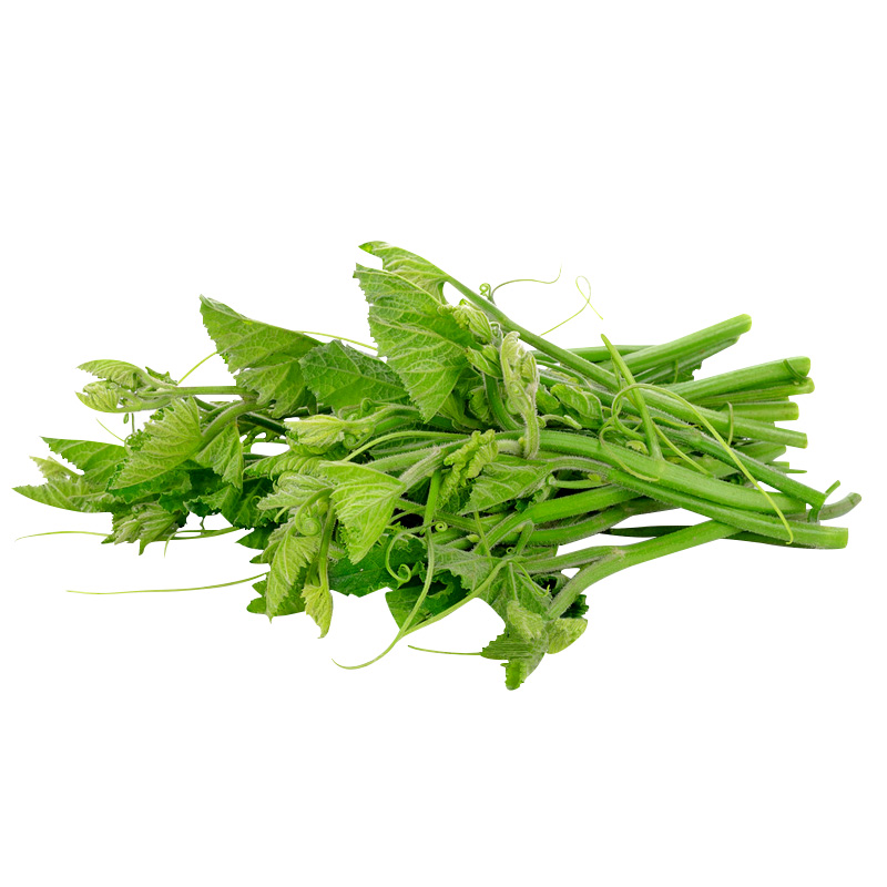 南瓜尖叶种籽食用吃南瓜藤茎叶蔓苗种子四季阳台盆栽蔬菜种籽孑子
