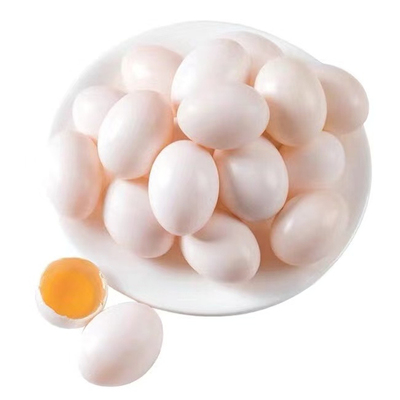 福娃农场现捡现发鸽子蛋顺丰包邮