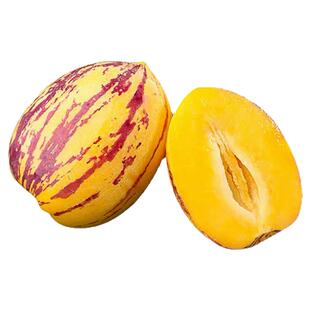 甘肃民勤人参果沙漠树上熟黄果黄肉新鲜水果低糖多汁现摘黄人参果