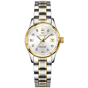 瑞士新款名牌正品手表女士机械表全自动名表高级感轻奢女式表十大