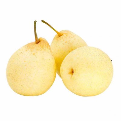 河北鸭梨当季精选大果果园现摘