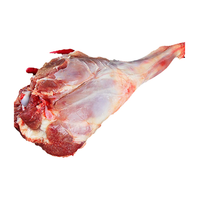 内蒙古羊腿新鲜羊肉奶香不膻